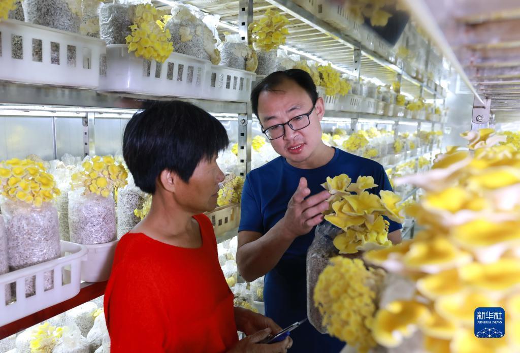 李逵劈鱼注册